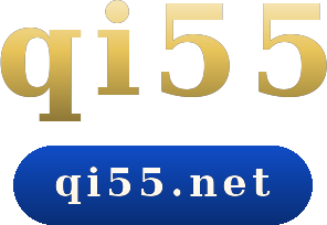 qi55 logo